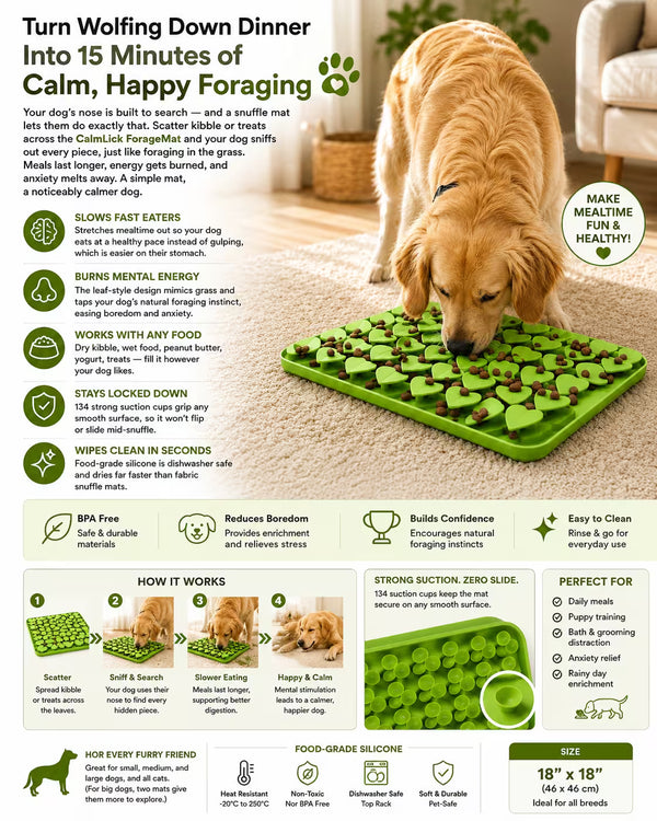 ForageMat Snuffle Mat – Slow Feeder for Dogs