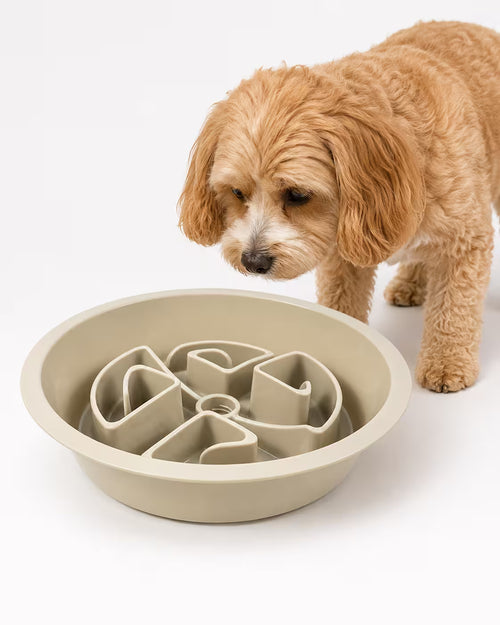 SlowDown Anti-Gulp Feeder Bowl (2-Pack)