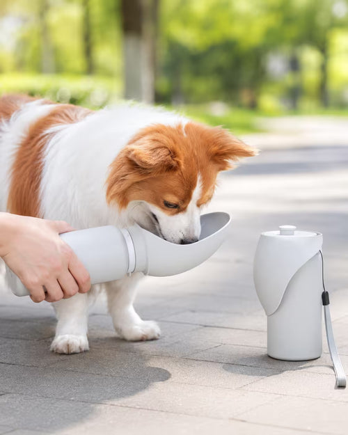 TrailSip Portable Dog Water Bottle
